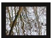 Martine Morillon-Carreau route reconnue fond l’enfance]