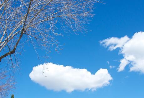 Petit coin du ciel : plafond illimité, bleu parfait !