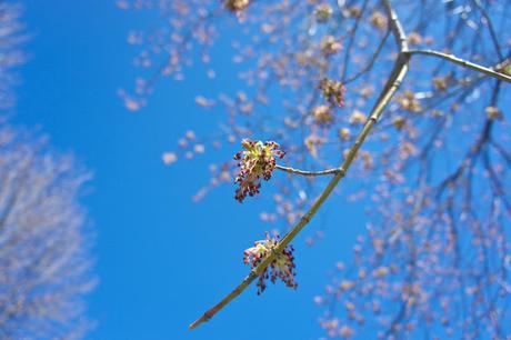 Petit coin du ciel : plafond illimité, bleu parfait !