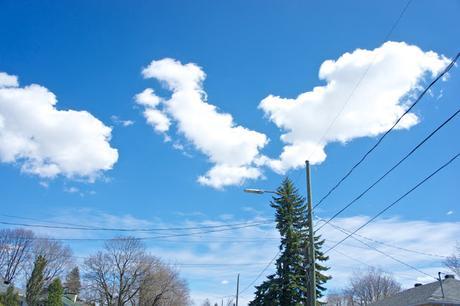 Petit coin du ciel : plafond illimité, bleu parfait !