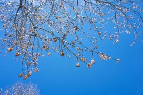 Petit coin du ciel : plafond illimité, bleu parfait !