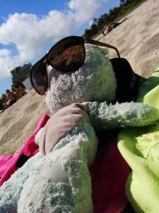 Nounou Bleu avec des lunettes de soleil sur la plage de Miami