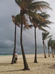 plage avec des cocotiers de Hollywood beach juste avant un orage