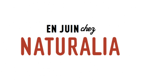 Capture d’écran 2015-06-02 à 4.10.40 PM