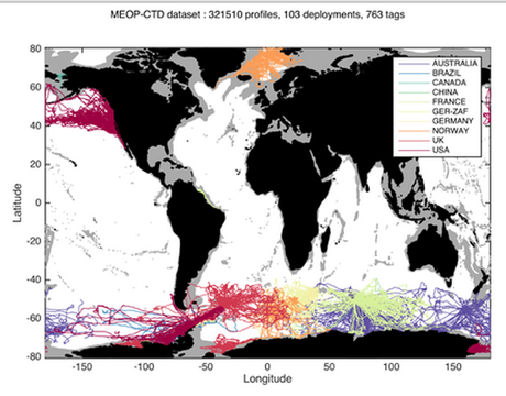 MEOP: un portail international pour accéder aux données océanographiques collectées par des animaux marins.