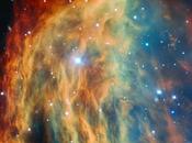 dévoile chevelure nébuleuse Méduse