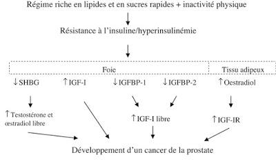 #trendsinencocrinologyandmetabolism #SHBG #hyperinsulinémie #IMC #cytokines Connaissances nouvelles et innovatrices dans la régulation de la SHBG et ses implications cliniques