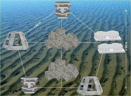 L'île d'Oléron accueillera des récifs artificiels à poissons à l'horizon 2017