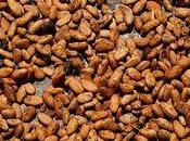 Ghana baisse production cacao pénalise finances ghanéennes