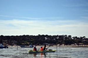 CSC_0682 Laissez-vous bercer au fil de l’eau par le charme du Cap Ferret !