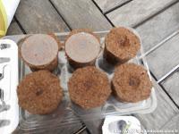 Pret à germer Botanic