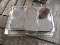 Pret à germer Botanic