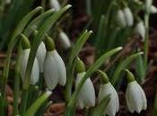 Réveil nature, magnifique vidéo time lapse