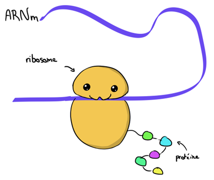 Kawaï ribosome, signé Pellentz