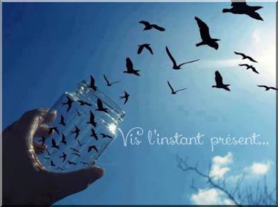 Vis l'instant présent, ainsi tu peux voir toutes les merveilles qui font pétiller le quotidien...﻿