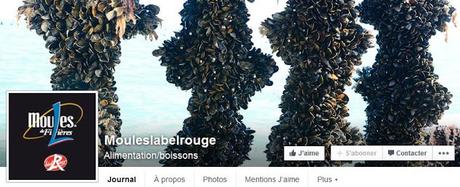 Charente-Maritime : C'est parti pour les moules de filières Label Rouge