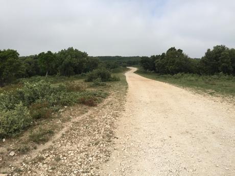 Croix et Saint du Gard #30