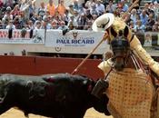 nouveau numero toros