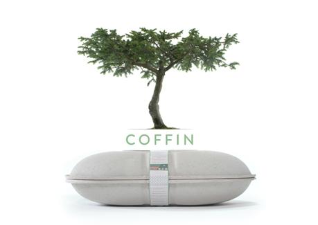 coffin-arbre_0