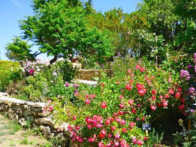 Le jardin des roses
