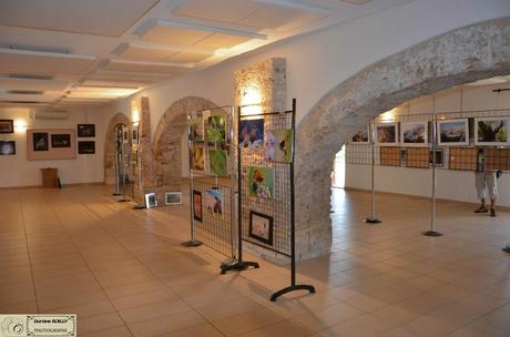 11391390_848372818543981_7467391267946974310_n