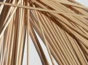 Brochette sole simple rapide