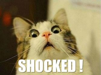 shocked lolcat