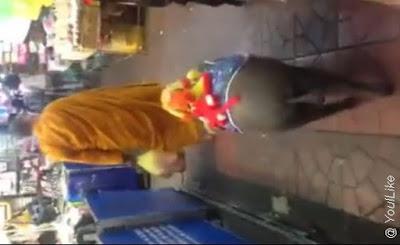 Thaïlande, cochon de moine [HD]