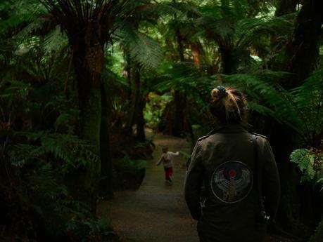 Rainforest Australia 05