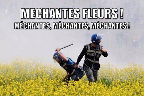 méchantes fleurs