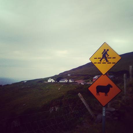 Wild Atlantic Way : etape 5: the ring of Kerry.