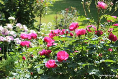 Atmosphère, atmosphère...