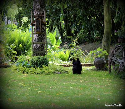 Atmosphère, atmosphère...