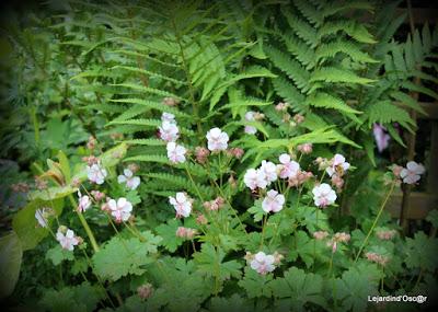 Atmosphère, atmosphère...