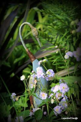 Atmosphère, atmosphère...