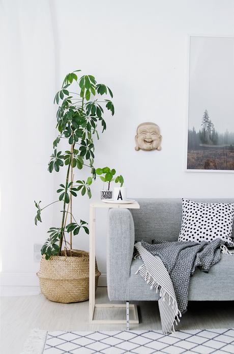 1_panier_cache_pot_elephantintheroom