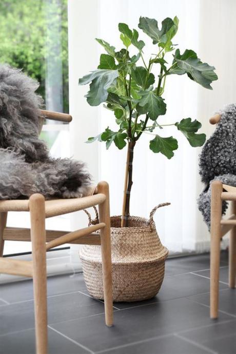 2_panier_cache_pot_elephantintheroom