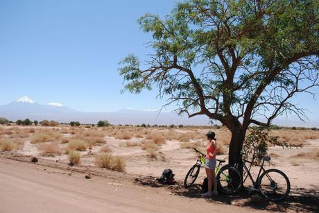 Chili - Atacama