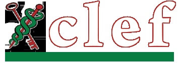 logo-clef-web8