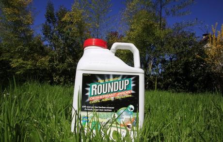 L'herbicide Roundup de Monsanto.