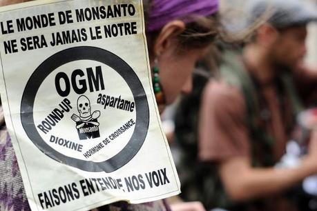 Des manifestants anti-Monsanto, le 23 mai 2015 à Toulouse