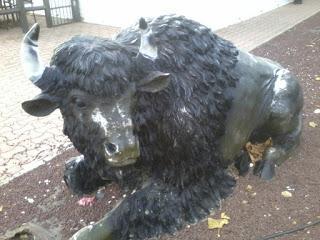 Sitting Bull, le bison des Grandes Plaines - Marilyn Plénard & Gopal Dagnogno Sitting Bull, le bison des Grandes Plaines - Marilyn Plénard & Gopal Dagnogno