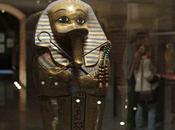 Interduck palais beaux arts lille