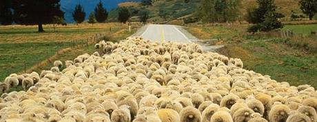 Conformite_societale