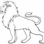 dessin de lion