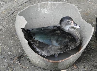 Issan Un dimanche a la campagne