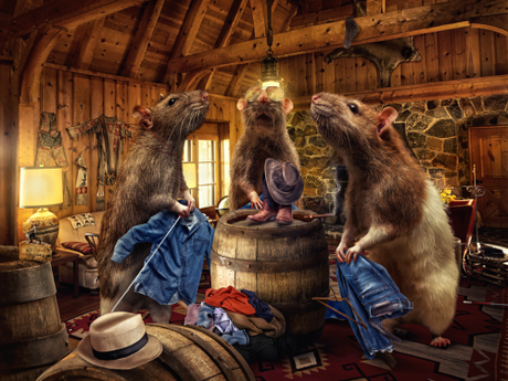 three_blind_rats_by_flewdesigns
