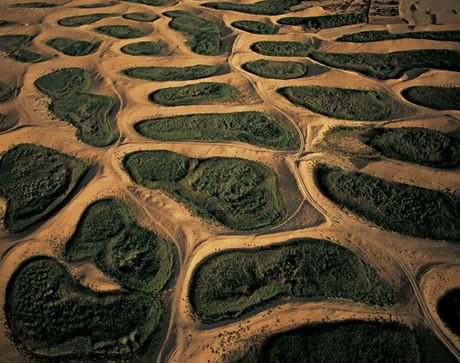 497_ L'Algérie vue du ciel- Yann Arthus-Bertrand