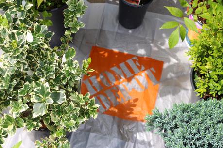 La fêtes des pères... avec un pouce vert!