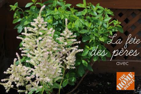 La fêtes des pères... avec un pouce vert!